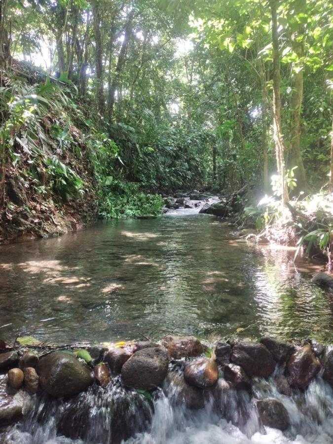 La Fortuna Natural Green Екстер'єр фото