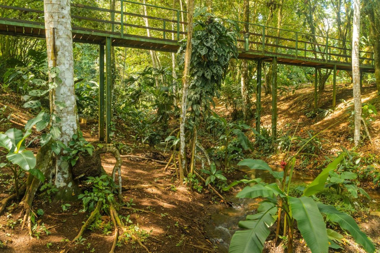 La Fortuna Natural Green Екстер'єр фото