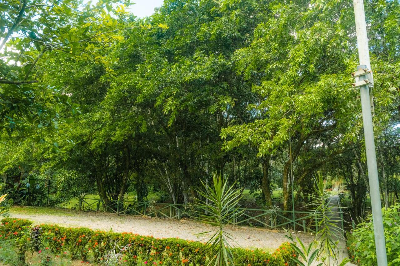 La Fortuna Natural Green Екстер'єр фото